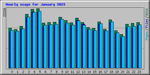 Hourly usage for January 2023